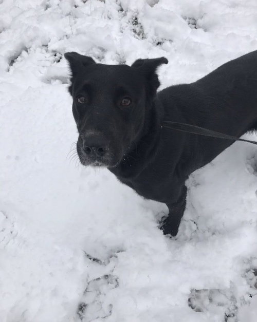 Shelly, photo 3