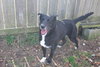 Shelly - Photo 2