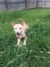 Max - Photo 4