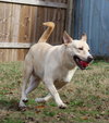 Max - Photo 3