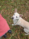 Apollo - Photo 1