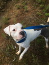 West - Photo 8