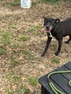 Rhoda - Photo 1