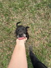 Rhoda - Photo 2