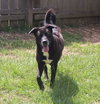 Marla - Photo 4