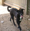 Marla - Photo 5