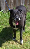 Marla - Photo 3