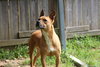 Nemo - Photo 3
