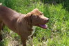Willie Guyton - Photo 2