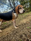 Rocko - Photo 1