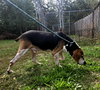 Rocko - Photo 2