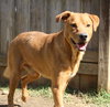 Deuce - Photo 4