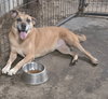 Coco puff - Photo 5
