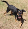 Frannie - Photo 2