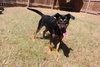 Frannie - Photo 3
