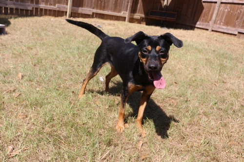 Frannie, photo 3