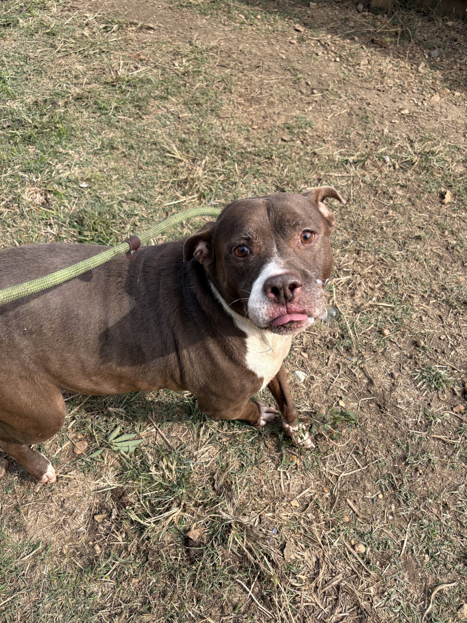 Butkus Image