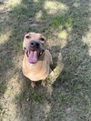Janet 3's company - Photo 1