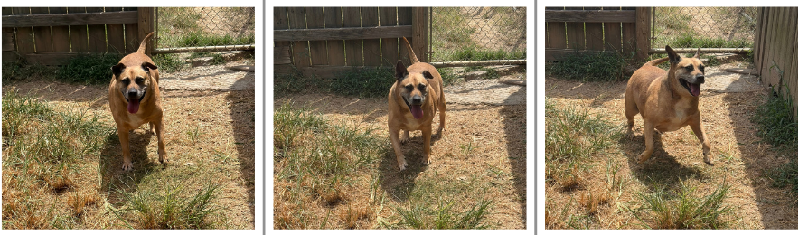 Happy (Reese Cup), photo 3