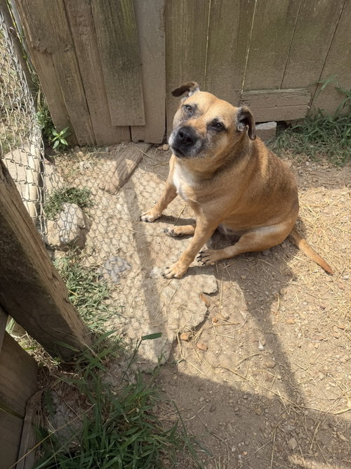 Photo 2 of Happy (Reese Cup)