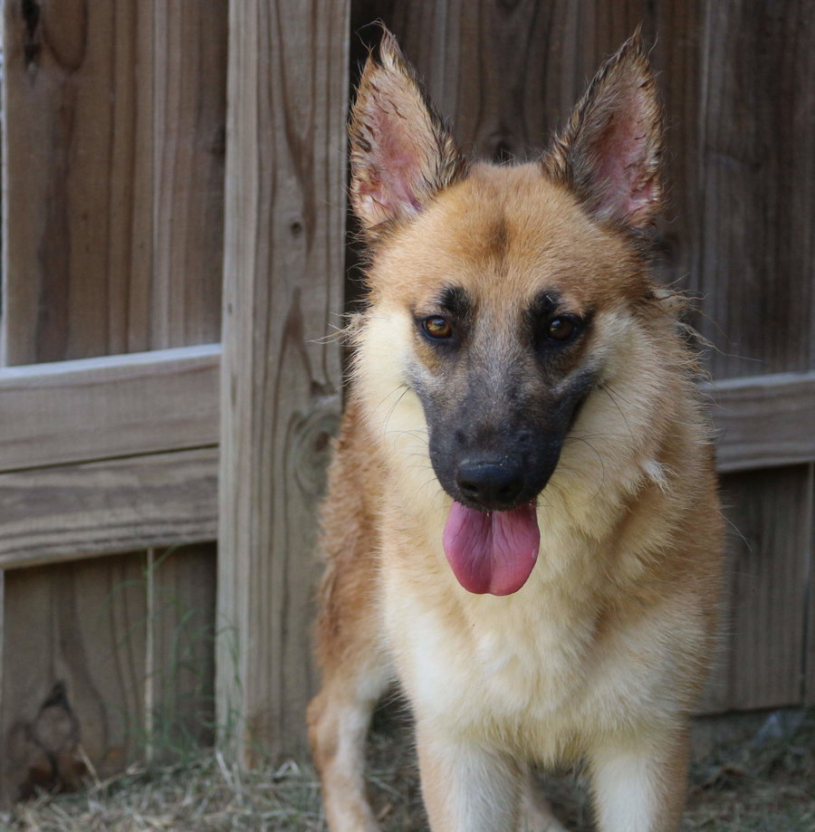 Callie Mae