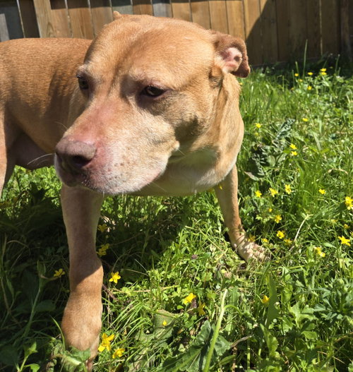 Winnie J, photo 6
