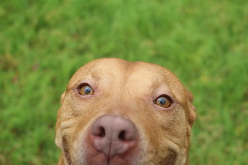 Winnie J, photo 5