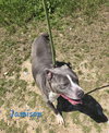 Jamison - Photo 4