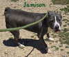 Jamison - Photo 5