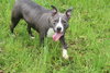 Jamison - Photo 2