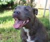 Millie - Photo 2