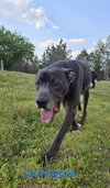 Lexington - Photo 6