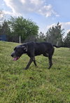 Lexington - Photo 7