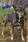 Wally - Photo 2