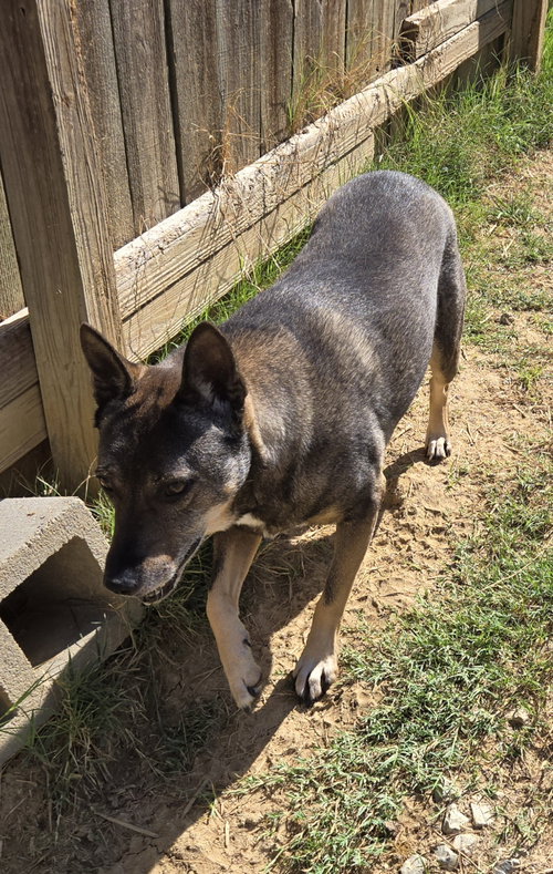 Photo 2 of Wally