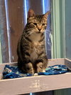 Shirley - Photo 2
