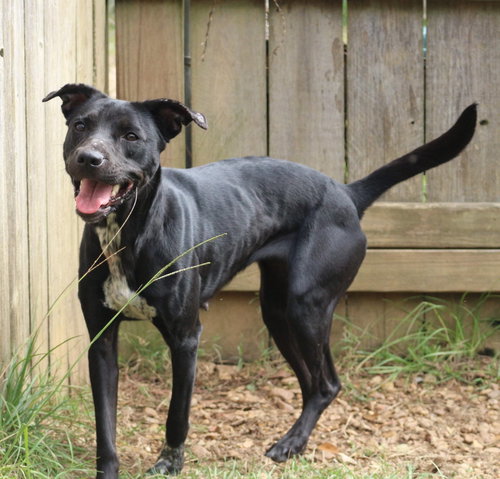 Photo 4 of Loretta