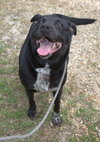 Loretta - Photo 2