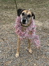 Kimmie - Photo 4