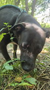 Mama Rosa - Photo 1