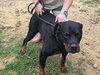 Gunther - Photo 1