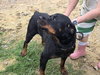Gunther - Photo 2