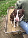 Sallie - Photo 2