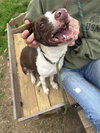 Sallie - Photo 3