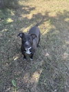 Carol - Photo 4