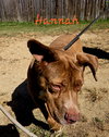 Hannah - Photo 1