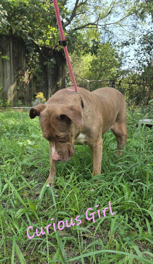 Photo 2 of Hannah
