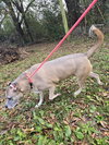 Eileen - Photo 1