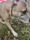 Eileen - Photo 2