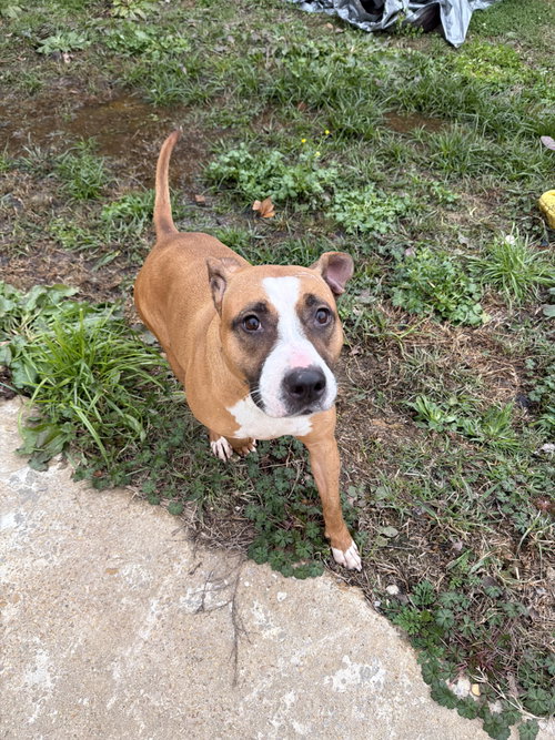 Janice, photo 2